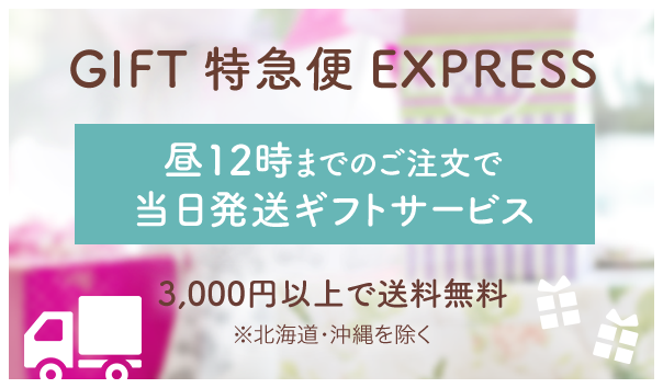 GIFT特急便EXPRESS 昼12時までのご注文で当日発送ギフトサービス 3,000円以上で送料無料 ※北海道・沖縄を除く