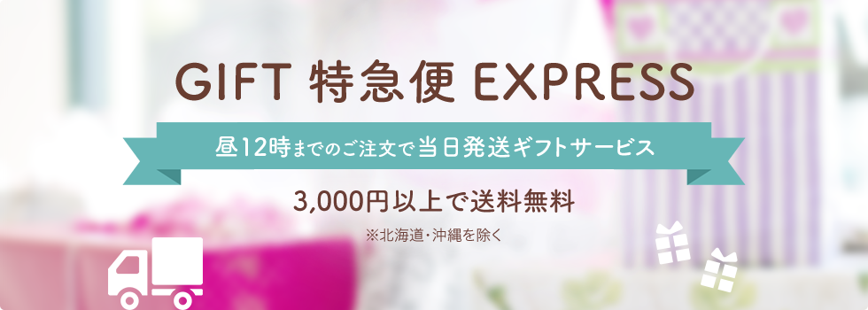 GIFT特急便EXPRESS 昼12時までのご注文で当日発送ギフトサービス 3,000円以上で送料無料 ※北海道・沖縄を除く