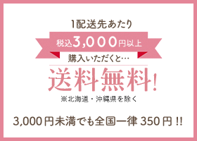 1配送先あたり3,000円以上購入いただくと…送料無料 3,000円未満でも全国一律350円!!
