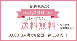 1配送先あたり3,000円以上購入いただくと…送料無料 3,000円未満でも全国一律350円!!
