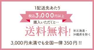 1配送先あたり3,000円以上購入いただくと…送料無料 3,000円未満でも全国一律350円!!