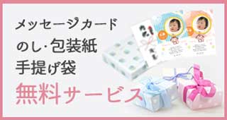 メッセージカード・のし・包装紙・手提げ袋は 無料サービスいたします SP