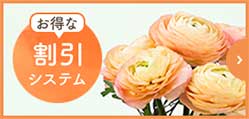 お得な割引システム