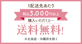 1配送先あたり3,000円以上購入いただくと…送料無料 3,000円未満でも全国一律350円!!