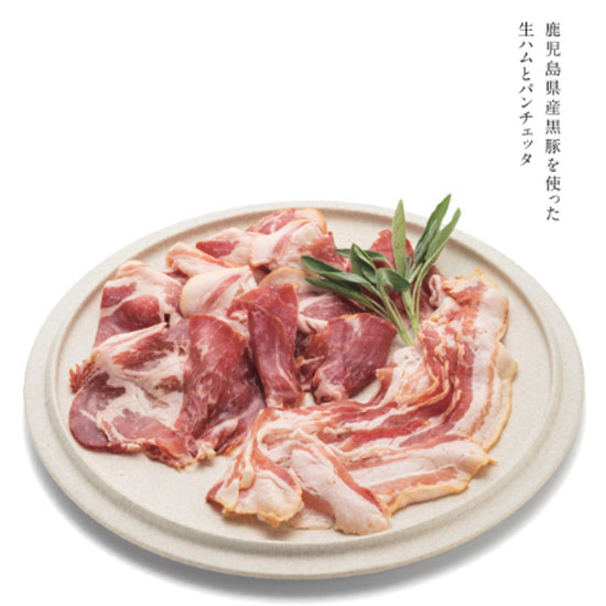 VENTOUEST　IVOIRE(イヴォワール）