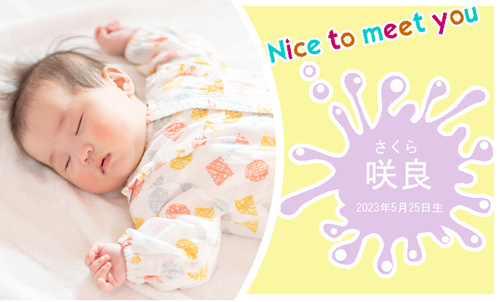 【Nice to meet you】写真入り　ガトーセレクション 8個入（小）