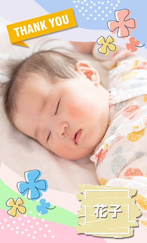 【Thank you】写真入り 　志満秀クアトロえびチーズ（12枚）