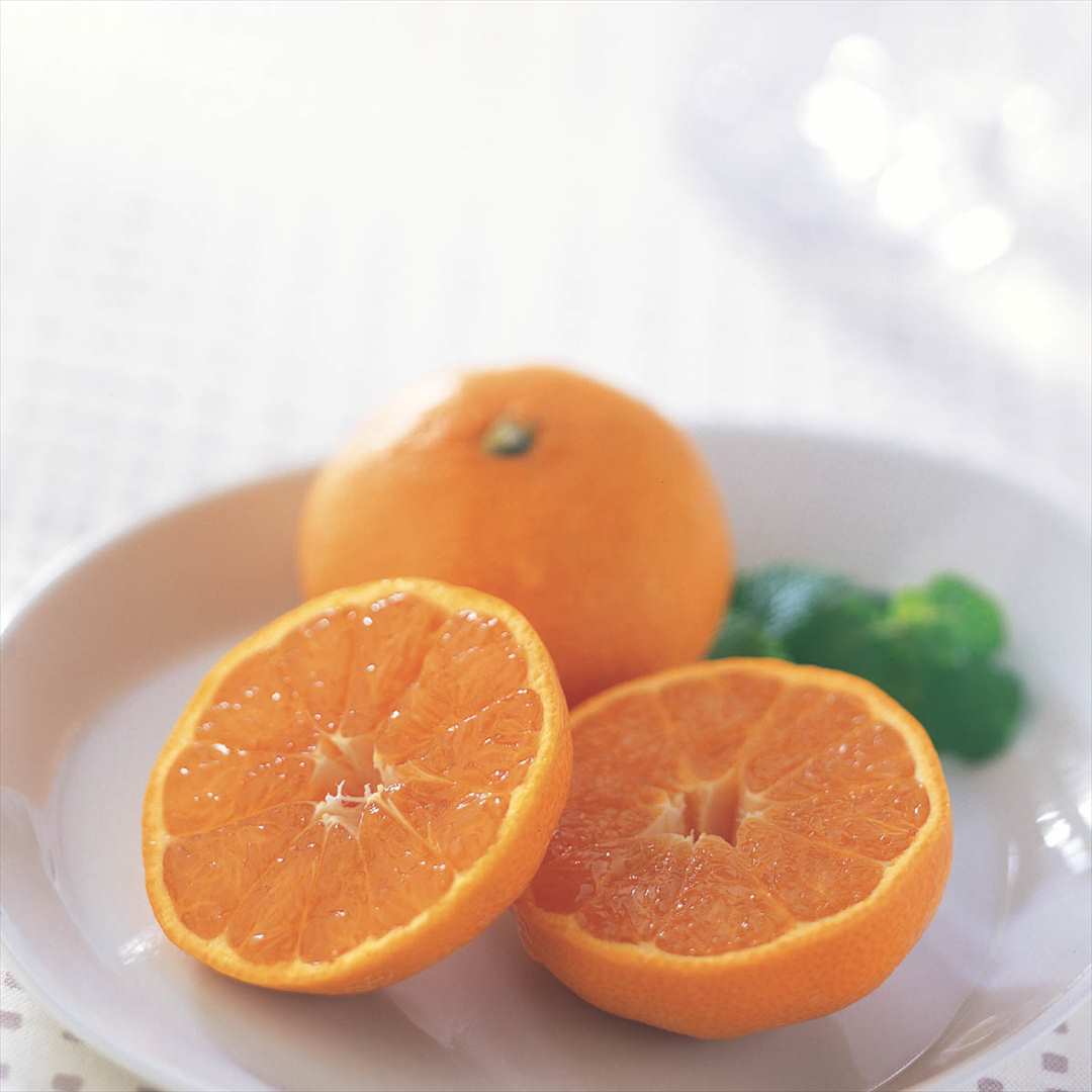 フルーツチョイス-e-order choice F10-C