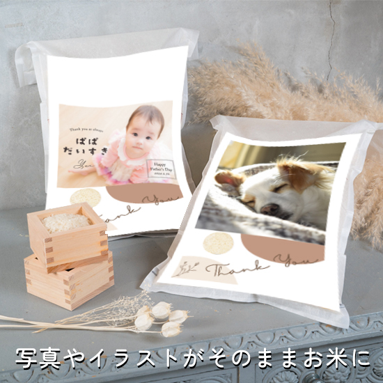 アート米　(フォトラベル)　新潟県産コシヒカリ5kg